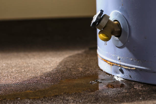 Best Professional water damage repair  in Pensacola, FL