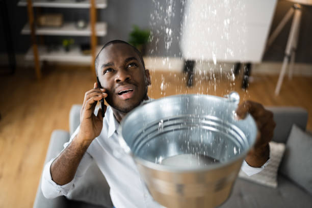  Pensacola, FL Water damage restoration Pros