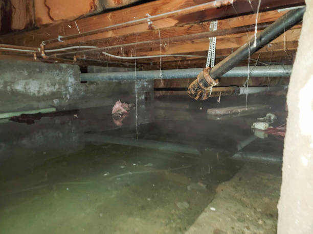 Best Water damage contractors near me  in Pensacola, FL