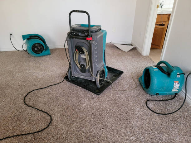 Best Fire Damage Restoration  in Pensacola, FL