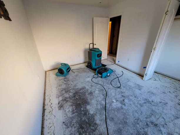 Best Basement water damage restoration  in Pensacola, FL