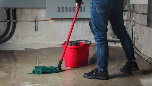 Best Water damage restoration near me  in Pensacola, FL