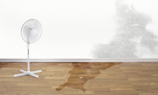 Best 24/7 water damage repair  in Pensacola, FL