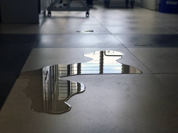 Best 24-hour water damage restoration  in Pensacola, FL