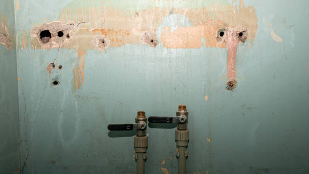Reliable Pensacola, FL Water damage restoration Solutions