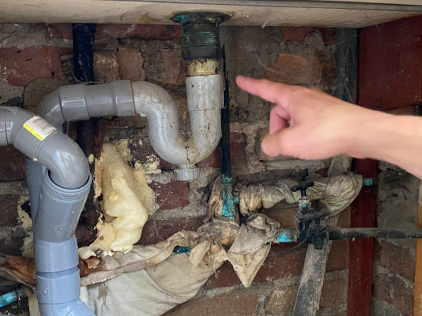 Water damage restoration mold remediation in Pensacola, FL