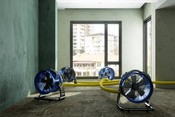 Best Water damage cleanup near me  in Pensacola, FL