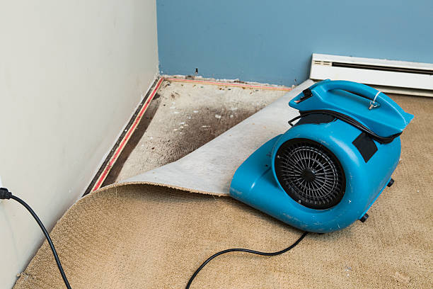 Best Residential water damage restoration  in Pensacola, FL